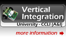 Univeristy Level NSF CCLI A&I grant